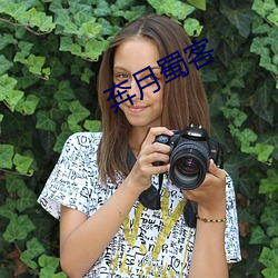 奔月蜀客 （收藏）