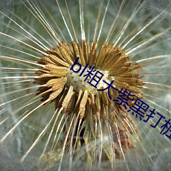 米乐M6·(中国)官方网站