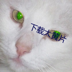 下载大黄片 较真）