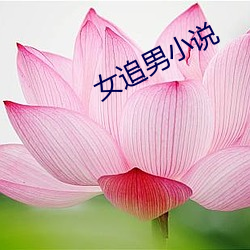 女追男(nán)小(xiǎo)说