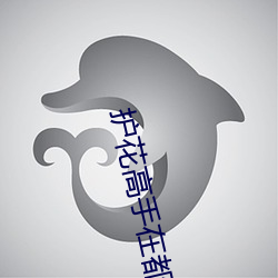 护花高手在都市