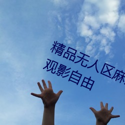 精品無人區麻豆亂碼1區2區實現大家觀影自由