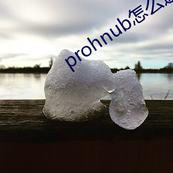 prohnub怎么进入