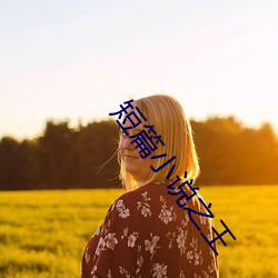 短篇小说之王