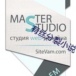 有丝分裂小说