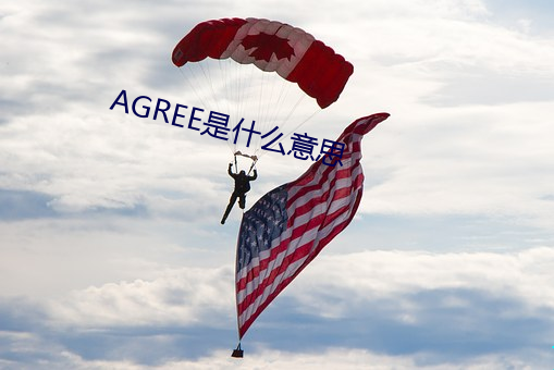 AGREE是什么意思 （游击队）