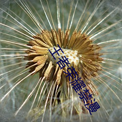 王者荣耀禁(禁)漫