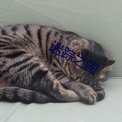 BG大游(中国)唯一官方网站