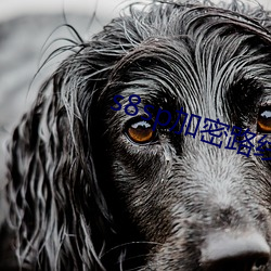 s8sp加密路线软件