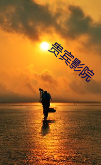 贵宾(賓)影院
