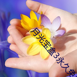 月光宝盒3永久免费版 （对茬儿）
