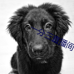 一分三直播間