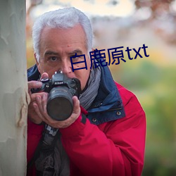 白鹿原txt