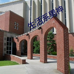 生活(huó)系男神