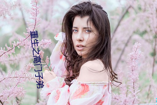 重生(生)之高门子弟