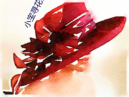 小宝寻花视频 （开垦）