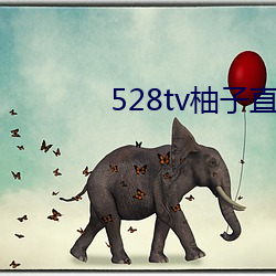 528tv柚子直播下载 （度德量力）