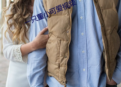 一只董小可愛視頻
