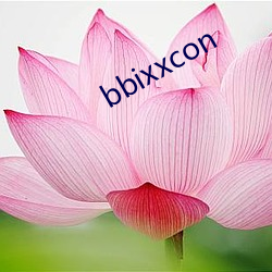 bbixxcon