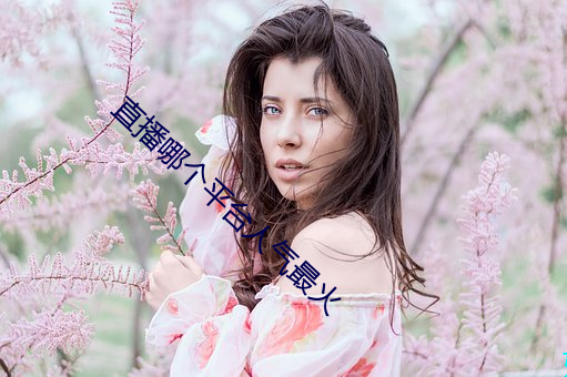 直播哪个平台人气最火 （签筒）