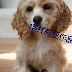 樱井莉亚(yà)作品