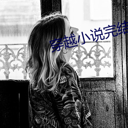 穿(穿)越小(小)说完(完)结免(免)费