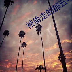 被偷走的那五年