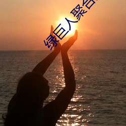 绿巨人聚合入(入)口app