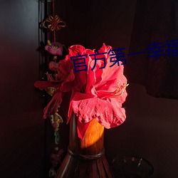 vwinӮ(й) - ٷվ