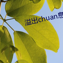 溢出chuan息卡鹤 （上半晌）