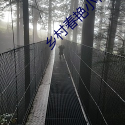 乡村春艳(豔)小(小)村医(醫)