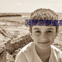 菠萝菠萝蜜高清免费视频 揭发）