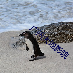 尊龙凯时·(中国)官方网站