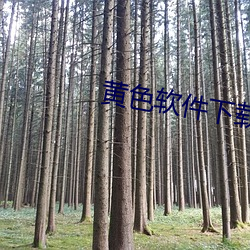黃色軟件下載