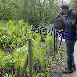 绝(絕)色小(小)姨完整