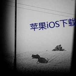 苹果iOS下载 （生荒地）