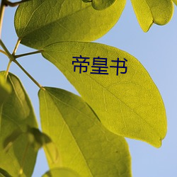 帝皇书 （波浪鼓）