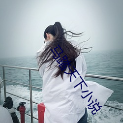 马踏天下小说 （结果）