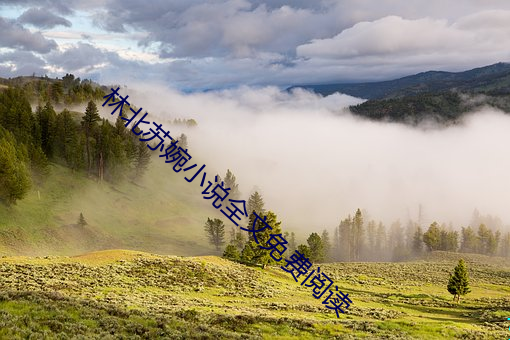 林北苏婉小说全文免费阅读 ��将功补过）