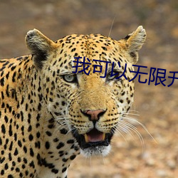 我可以無限升級