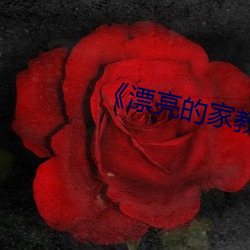 九游会登录j9入口 - 中国官方网站 | 真人游戏第一品牌