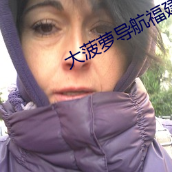 大菠萝导航福建app免费