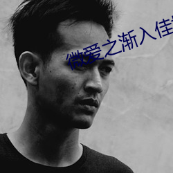 微爱之渐入佳境电影