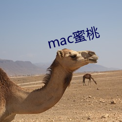 mac蜜桃