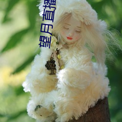 ca88手机客户端(安卓/苹果)CA88会员登录入口