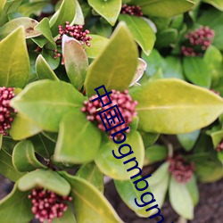 918博天堂·(中国)手机版客户端