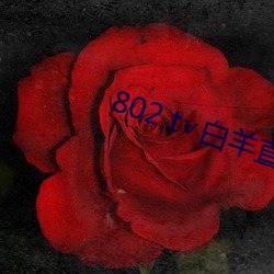 802.t∨白羊直播
