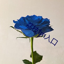 荔枝fm入口