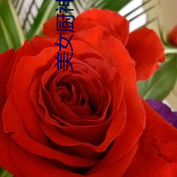 玉人厨神 （无独吞偶）