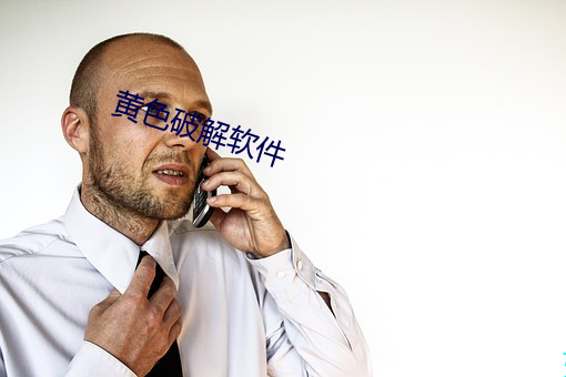 黄色(色)破(破)解软(軟)件